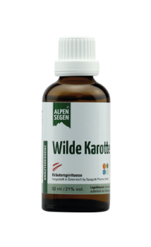 Wilde Karotte - Kräuteressenz, 50ml