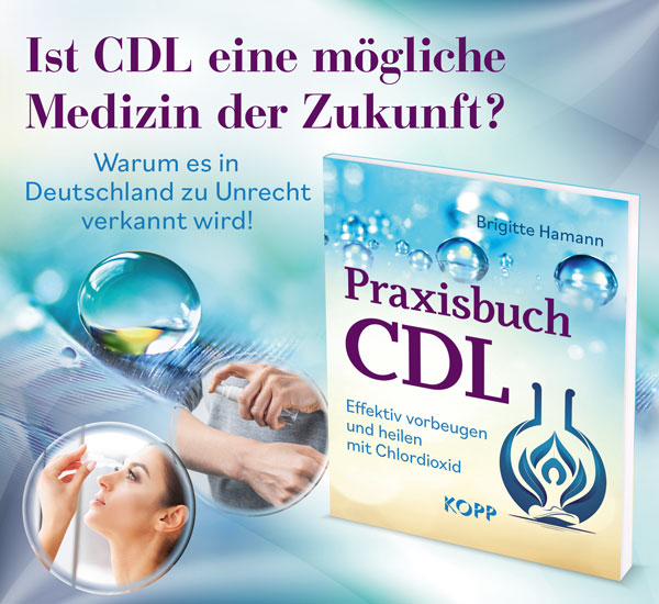 Praxisbuch CDL, Buch